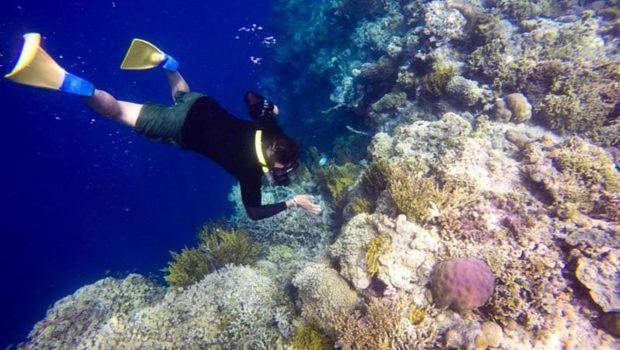 Batu Ampar Menjangan Otel Banyuwedang Dış mekan fotoğraf