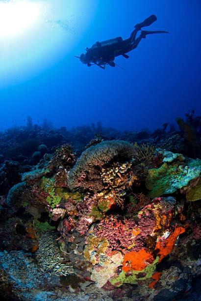 Batu Ampar Menjangan Otel Banyuwedang Dış mekan fotoğraf